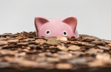 Pink piggy bank drowning in ocean of copper pennies signifying job satisfaction